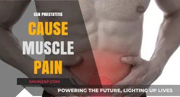 Prostatitis and Muscle Pain: Unraveling the Surprising Connection