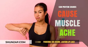 Can Protein Shakes Cause Muscle Aches? Facts and Myths Explained