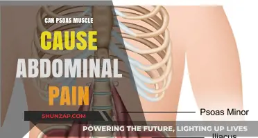 Psoas Muscle and Abdominal Pain: Unraveling the Hidden Connection
