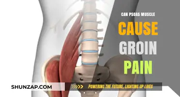 Psoas Muscle and Groin Pain: Understanding the Connection and Relief