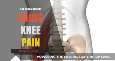 Psoas Muscle and Knee Pain: Unraveling the Hidden Connection