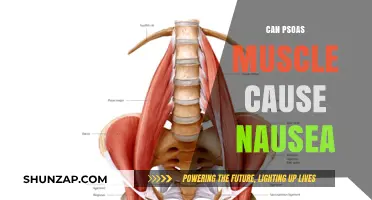 Psoas Muscle and Nausea: Unraveling the Surprising Connection