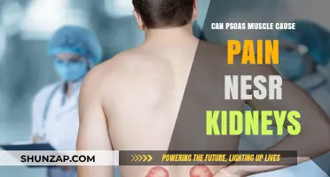 Psoas Muscle and Kidney Pain: Unraveling the Connection and Causes