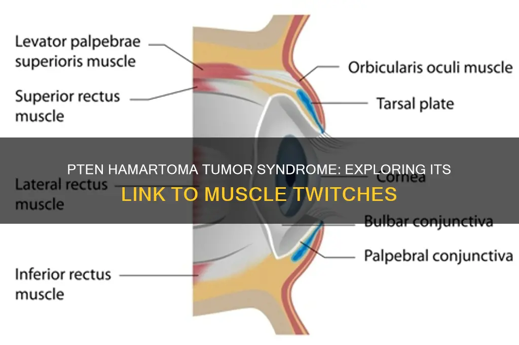 can pten hamartoma tumor symdromw cause muscle twitches