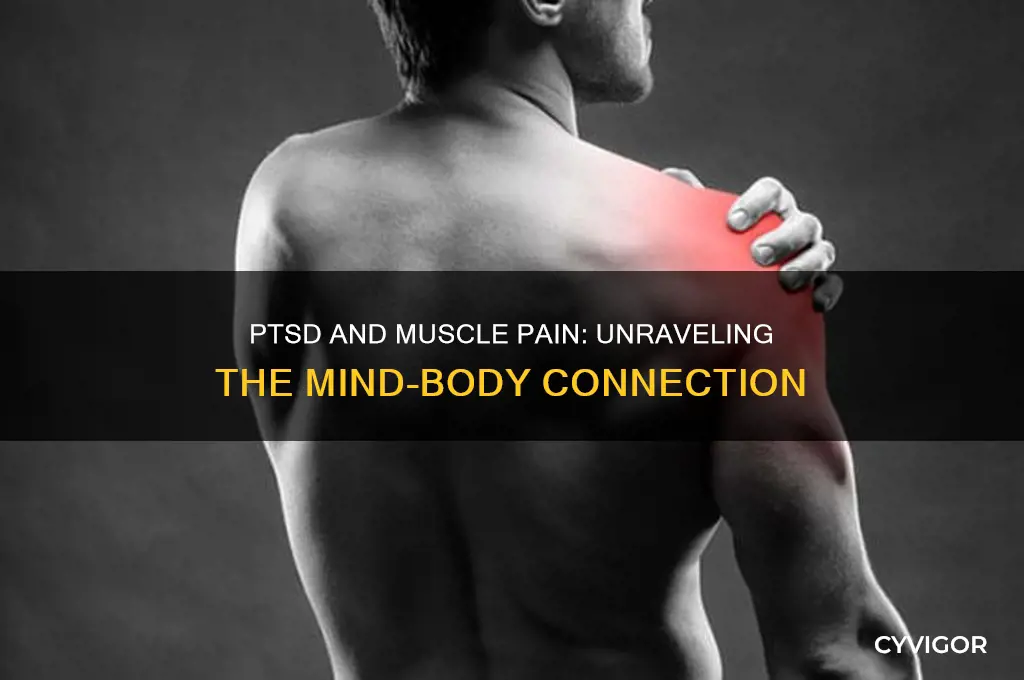 can ptsd cause muscle pain