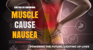 Pulled Abdominal Muscle and Nausea: Understanding the Surprising Connection