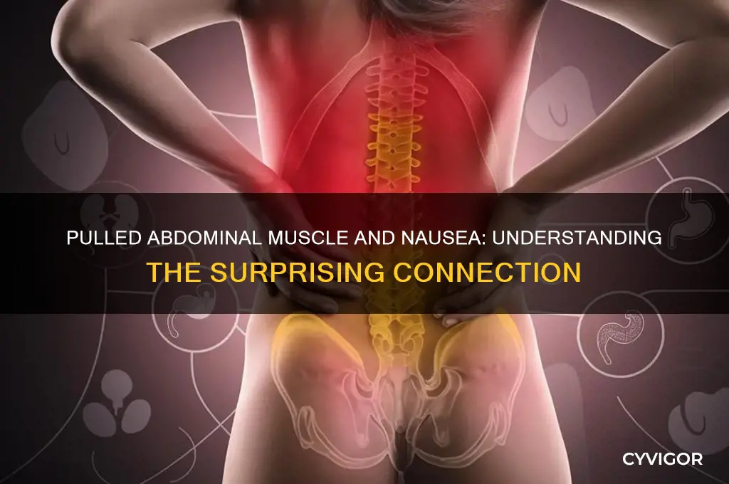 can pulled abdominal muscle cause nausea