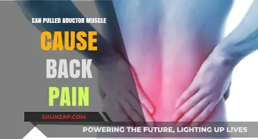 Pulled Adductor Muscle: A Hidden Culprit Behind Your Back Pain?