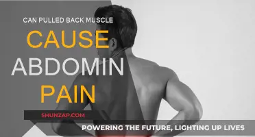 Pulled Back Muscle: Can It Cause Abdominal Pain?