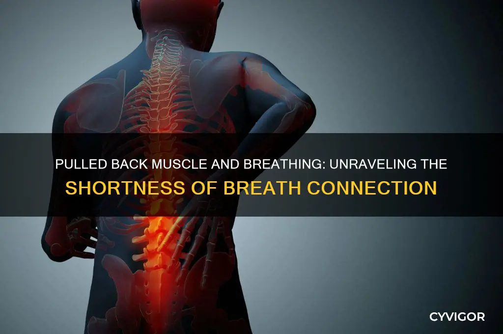 can pulled back muscle cause shortness of breath
