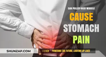 Pulled Back Muscle and Stomach Pain: Understanding the Connection