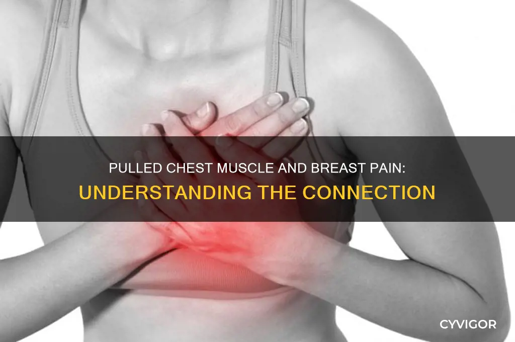 can pulled chest muscle cause breast pain