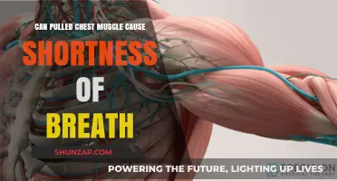 Pulled Chest Muscle and Breathing: Can It Cause Shortness of Breath?
