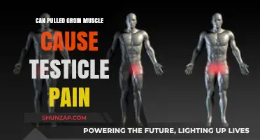 Pulled Groin Muscle and Testicle Pain: Understanding the Connection