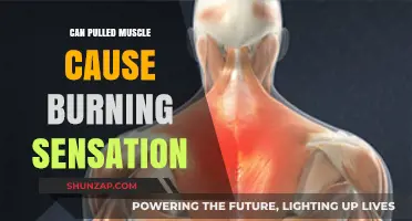 Pulled Muscle Burning Sensation: Causes, Symptoms, and Relief Explained