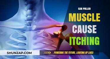 Pulled Muscle Itching: Causes, Symptoms, and Effective Relief Strategies