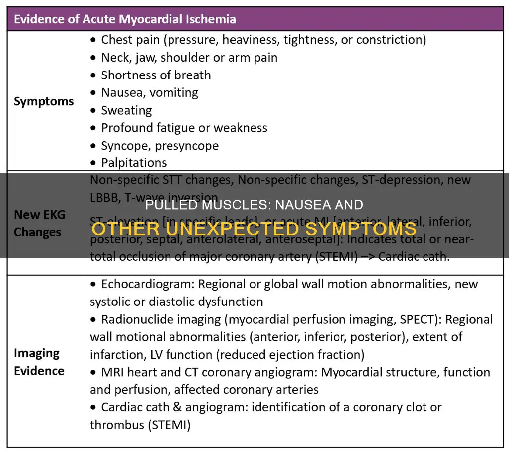 can pulled muscle cause nausea