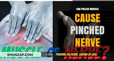 Pulled Muscle and Pinched Nerve: Understanding the Connection and Symptoms