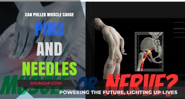 Can Pulled Muscles Trigger Pins and Needles? Understanding the Connection