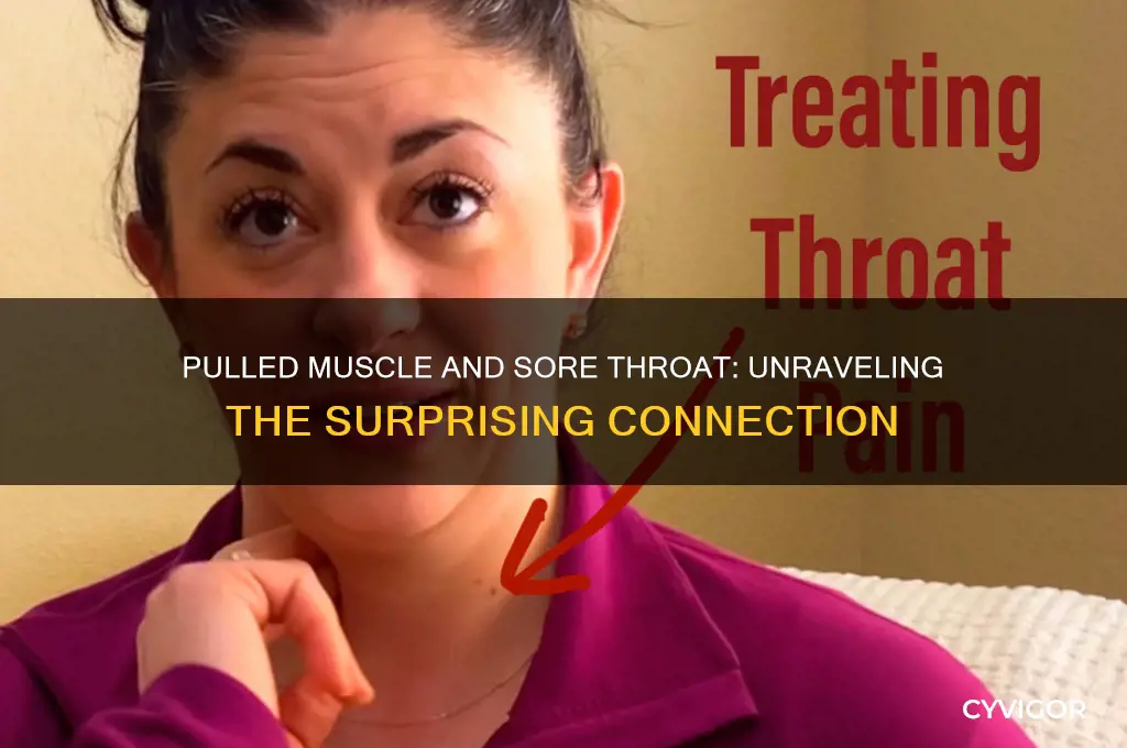 can pulled muscle cause sore throat