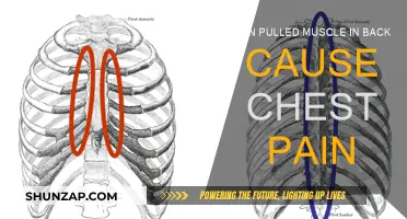 Back Muscle Pulls: Can They Cause Chest Pain?