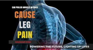 Pulled Back Muscle and Leg Pain: Understanding the Connection