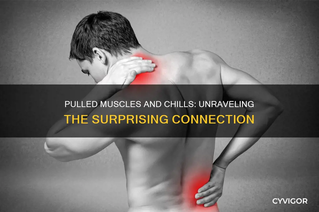 can pulled muscles cause chills