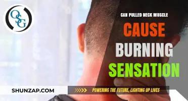 Pulled Neck Muscle: Understanding the Burning Sensation and Relief Tips