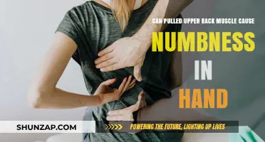 Pulled Upper Back Muscle: Can It Cause Hand Numbness?