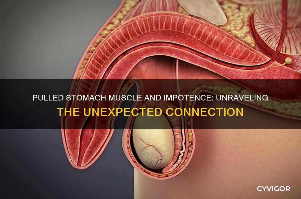 can pulling a stomach muscle cause impotence