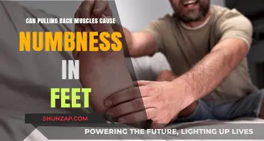 Can Pulled Back Muscles Lead to Numbness in Your Feet?