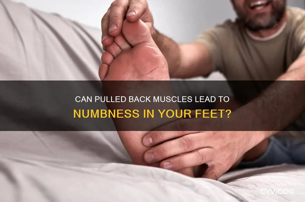 can pulling back muscles cause numbness in feet