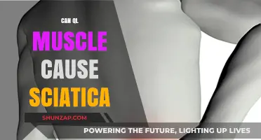 Can QL Muscle Tightness Trigger Sciatica Pain? Exploring the Connection
