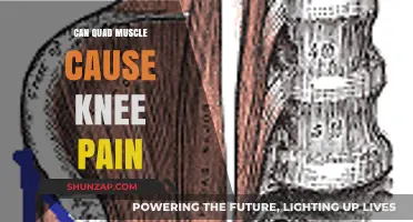 Quad Muscle Imbalance: A Hidden Culprit Behind Knee Pain?