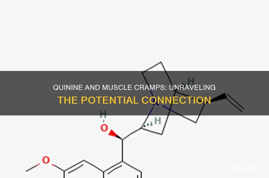 can quinine cause muscle cramps