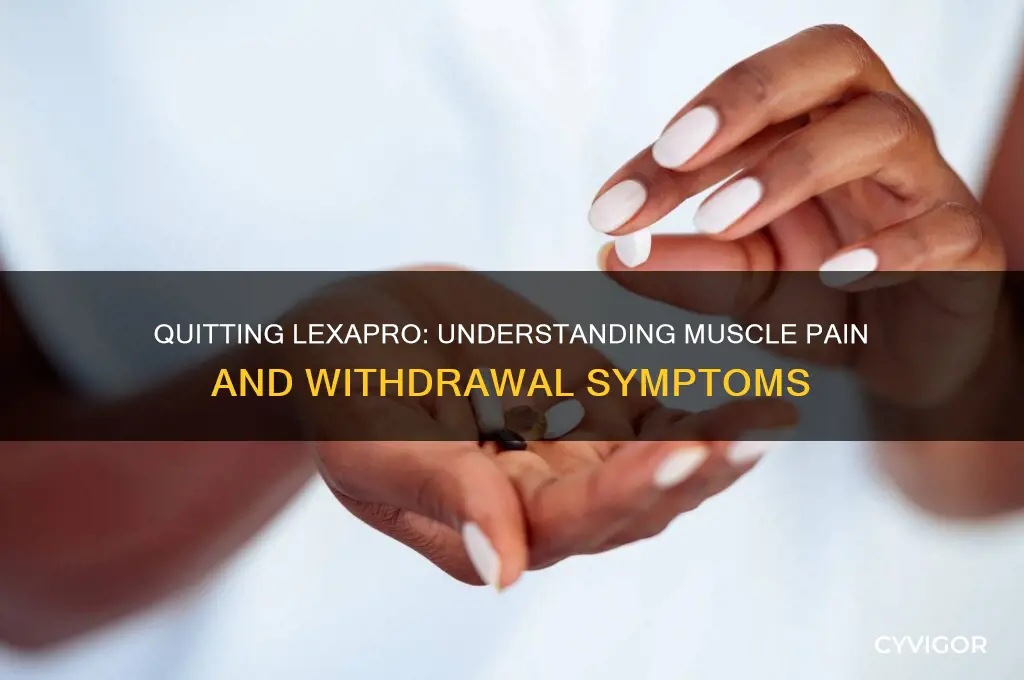 can quitting lexapro cause muscle pain