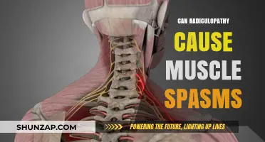 Radiculopathy and Muscle Spasms: Understanding the Connection and Symptoms