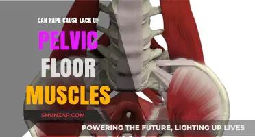 Rape's Impact: Pelvic Floor Muscle Weakness Explained and Addressed