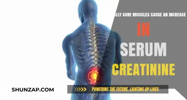 Sore Muscles and Serum Creatinine: Unraveling the Connection