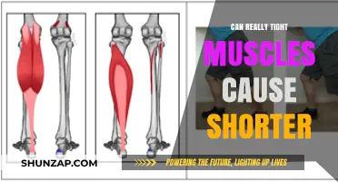 Tight Muscles, Shorter Height? Unraveling the Surprising Connection
