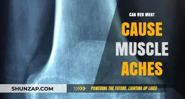 Red Meat and Muscle Aches: Unraveling the Potential Connection