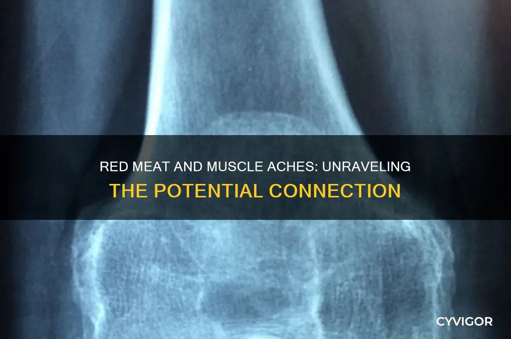 can red meat cause muscle aches