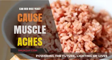 Red Rice Yeast and Muscle Aches: Uncovering the Potential Connection