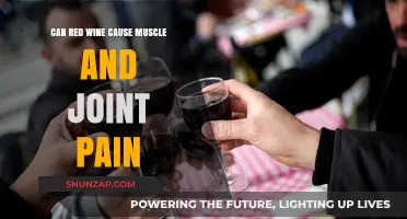 Red Wine and Aches: Unraveling Muscle and Joint Pain Connections
