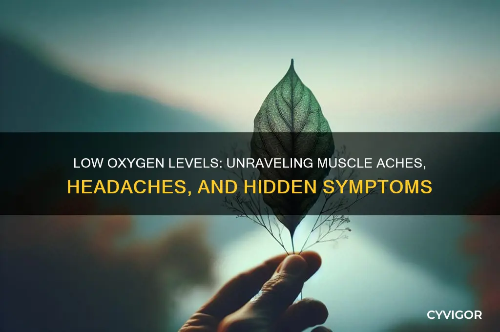 can reduced oxygen cause muscle aches headaches etc