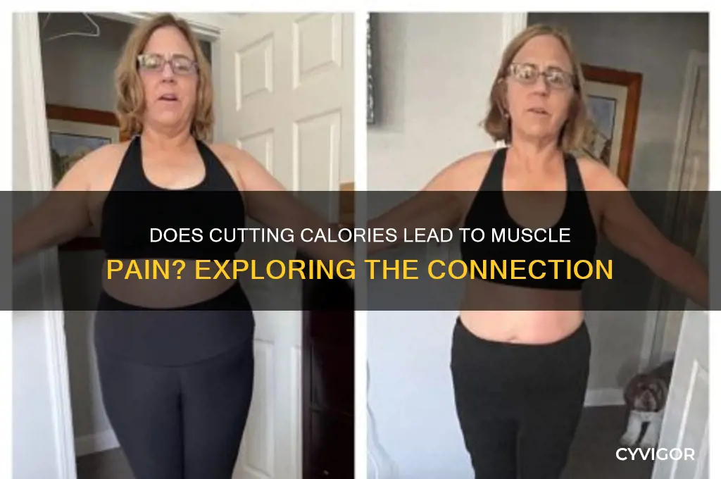 can reducing calories cause muscle pain