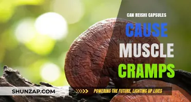 Reishi Capsules and Muscle Cramps: Unraveling the Potential Connection