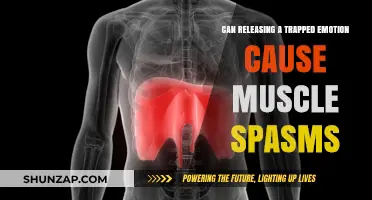 Emotional Release and Muscle Spasms: Unraveling the Mind-Body Connection