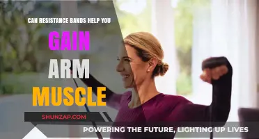 Resistance Bands for Arm Muscle Gain: Effective or Overhyped?