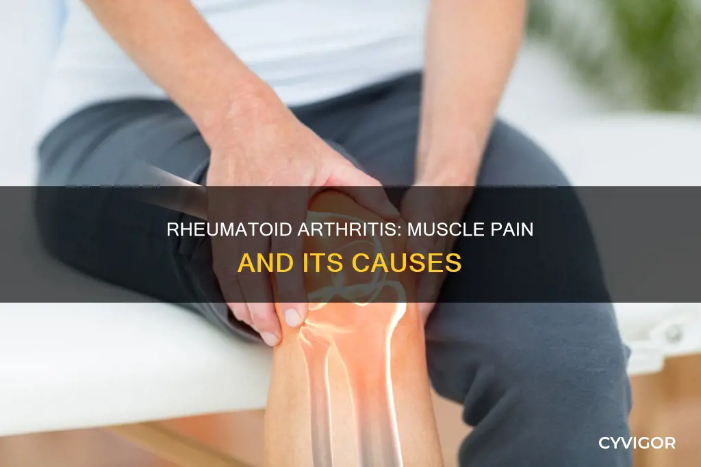 can rheumatoid arthritis cause muscle pain